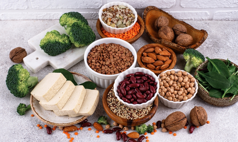 biljni izvori proteina